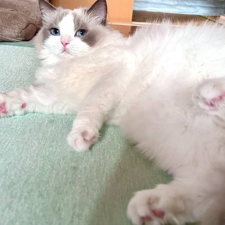 Eda177b1 50a1 4e92 ab17 5e53e7b04c20 1725833626378