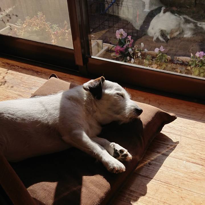 Eda1dfb1 5cc2 4300 b63f 785c2506eba1 1550446862615