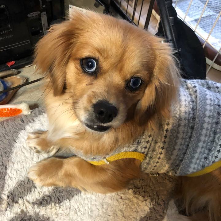 Eda20b15 4a13 41c2 9a89 c55ea9a48a7c 1520461330994