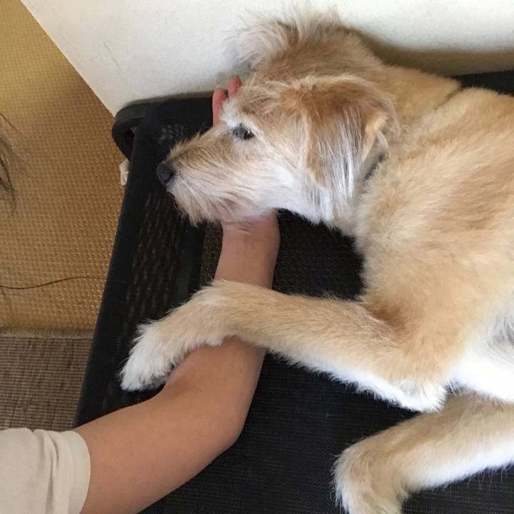 Eda21496 d41a 40b4 ac84 f677aeb18a15 1597654892558