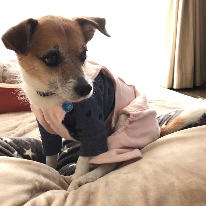 Eda231ae dd33 4368 a891 9fe063896530 1547512119749