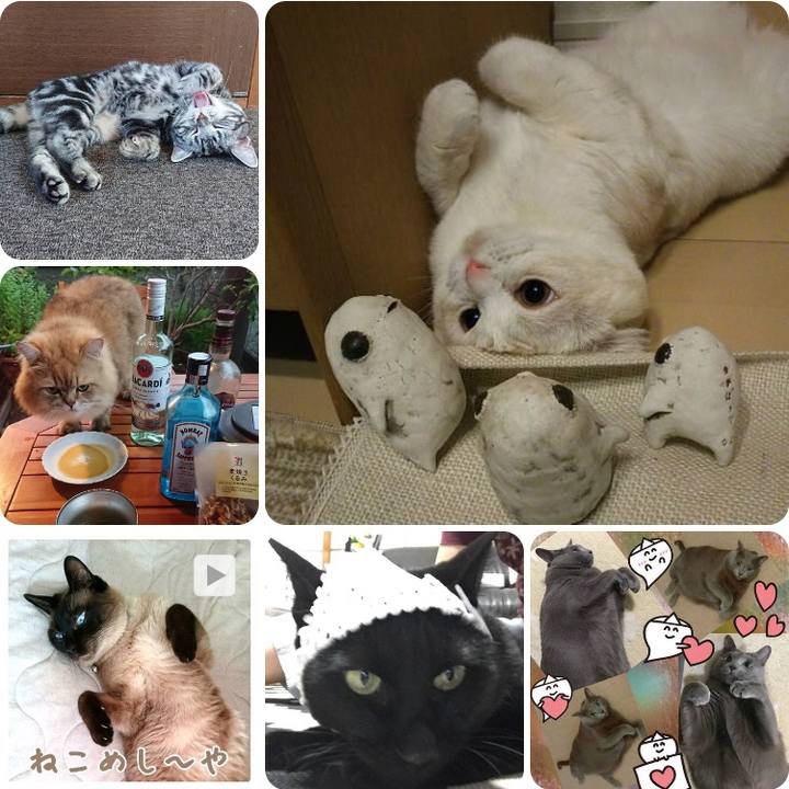 Eda23d9f b502 489c 977f bf961fd9960e 1534082517759