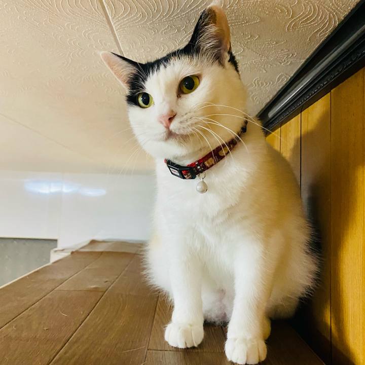 Eda24308 c9e6 4223 8929 70cfa739fa5d 1658141066803