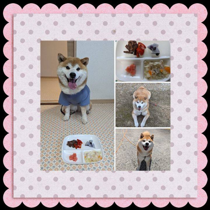 Eda2469a 9705 406b 828c f2c3ce8811c4 1717927965588