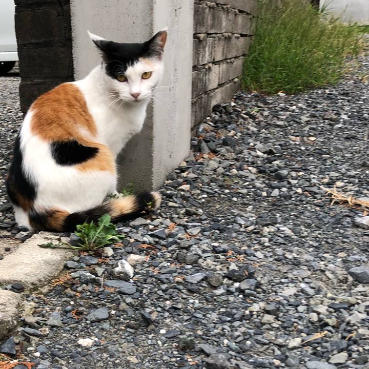 Eda25a96 4bd0 48fe b3ba 7776e78b7906 1600250076531