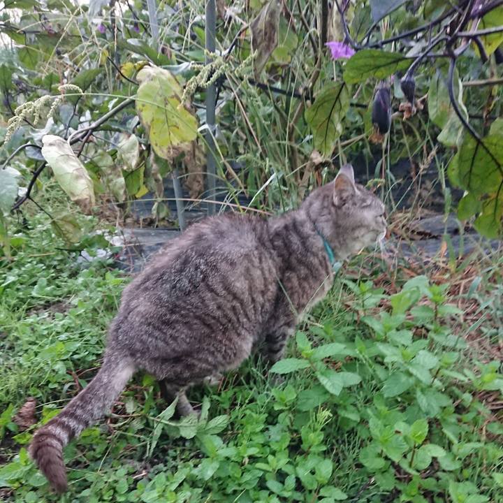 Eda27248 c9f0 4211 9005 569989b28ca0 1569962739760