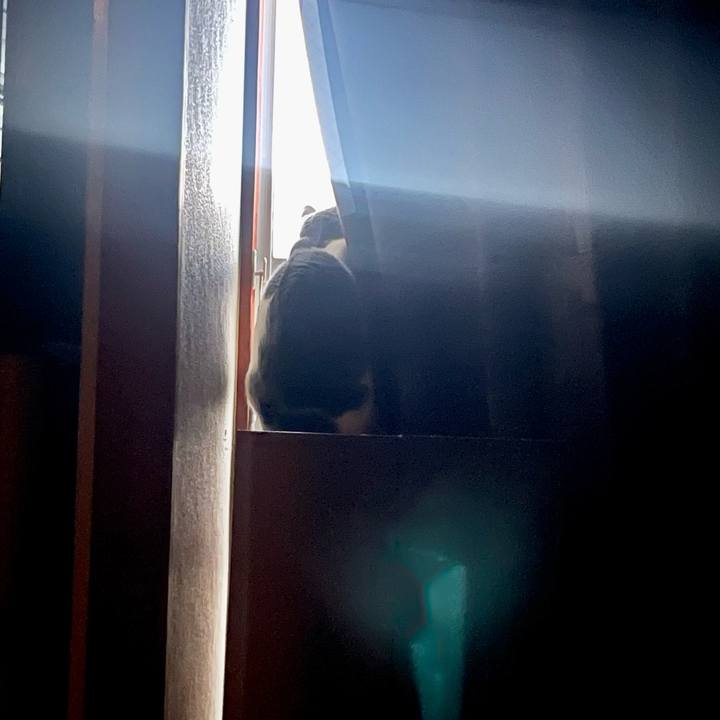 Eda2b5db e6da 4ab3 a002 5352c4c262cd 1668374558996