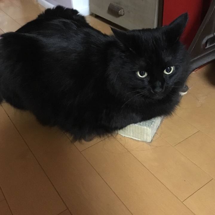 Eda2b934 fa9a 46fe 9b48 7da6b2576fd3 1515938860328