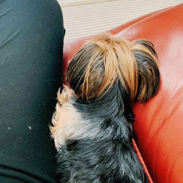 Eda2d4b9 6666 4410 864b 9f02aa1e7d09 1583977435161