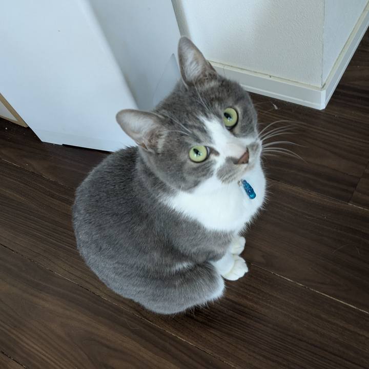 Eda35ccc fc96 4acb 9152 b1823aa2b7d9 1769827440179