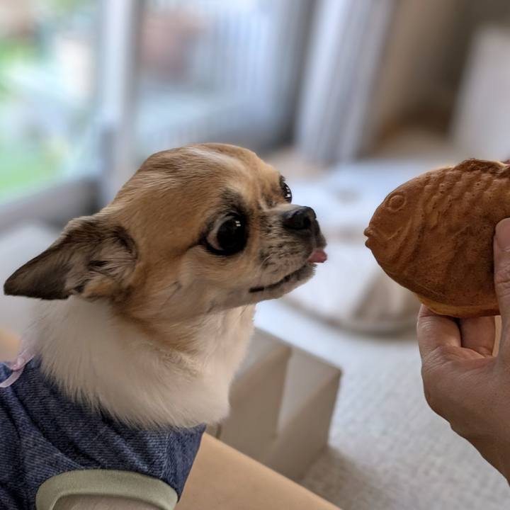 Eda39778 ebbc 4395 8e28 4a28983d10ef 1722589756282