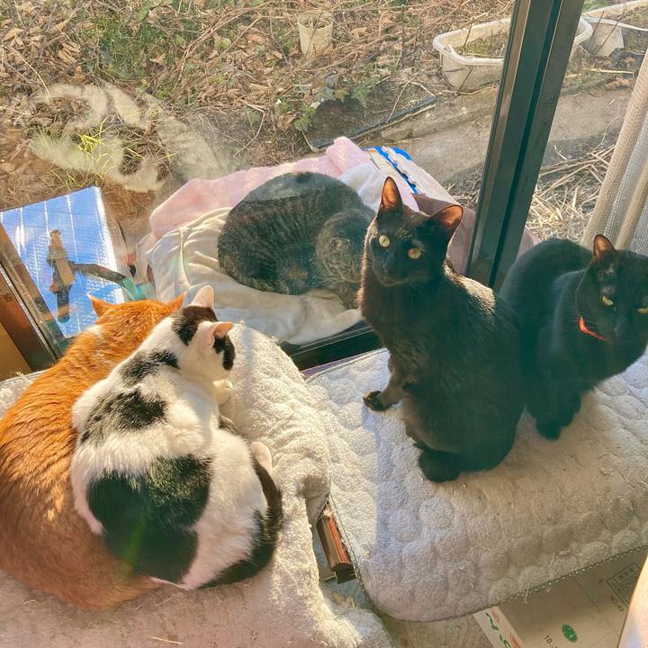 Eda3aeb5 8c48 431b bb66 99d7f5c4872a 1676875267329