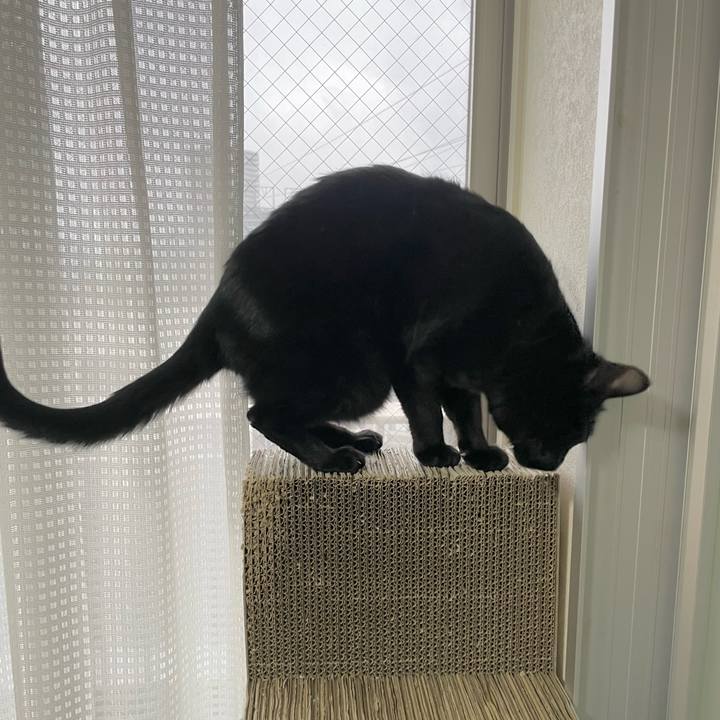 Eda46033 8254 4911 9453 c4af45cdc260 1738456495875