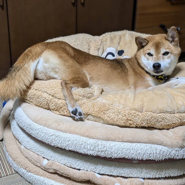 Eda46603 34ee 49e0 af69 b93b20af46c6 1722488286571