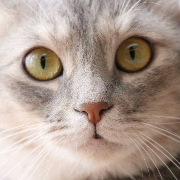 Eda47298 2498 4956 813a eecebcbccead 1534033930664