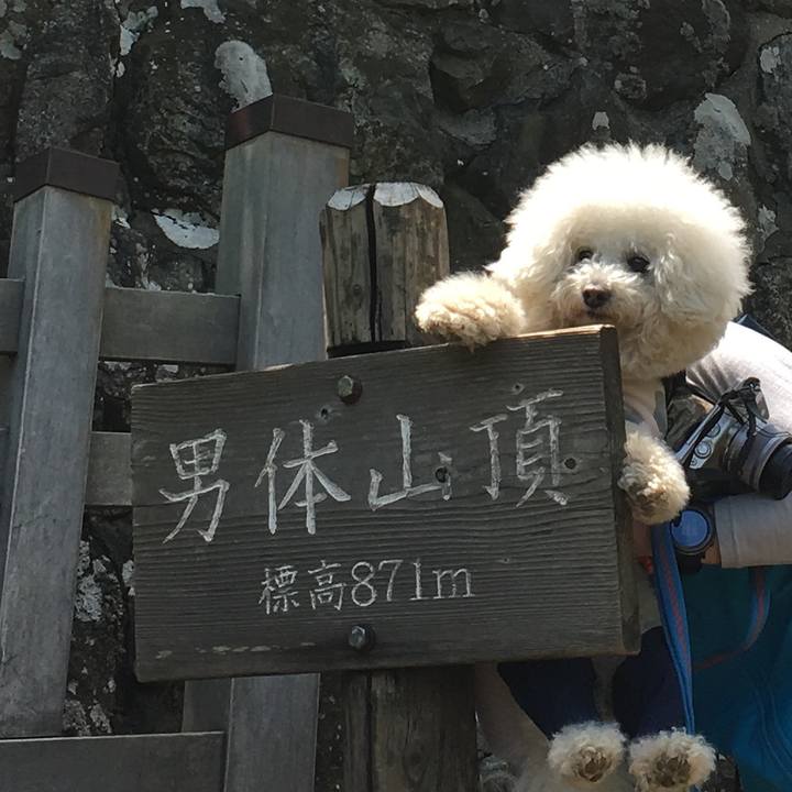 Eda47c22 1830 4795 91b5 bbcfef221a6a 1558172170183