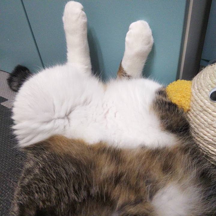 Eda488a4 192a 476e 86b7 98ef8a3d9a5c 1662119501298