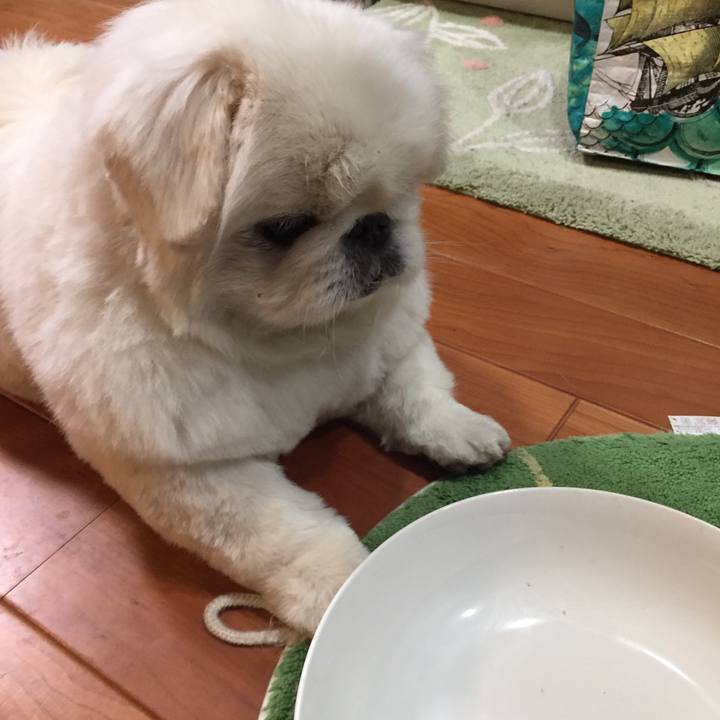 Eda48ed4 53f6 4c47 9982 8c919642f4b5 1519478094682