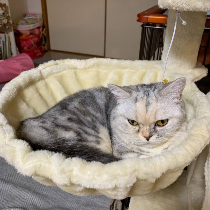 Eda4bbfd abd1 4da6 ae90 d84cbb42d59a 1716718011680