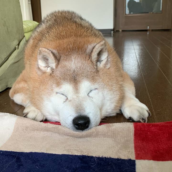 Eda505e8 7b83 489b 9954 3dfe71205d77 1645945632439