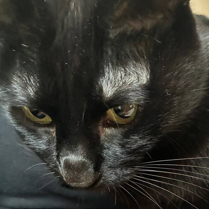 Eda51186 f2a5 47c9 a286 b422ab06634b 1769210171711