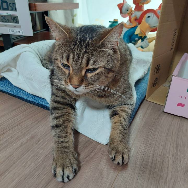 Eda51f0c 0c76 4cf8 9b62 be5c236f6f96 1654207018228