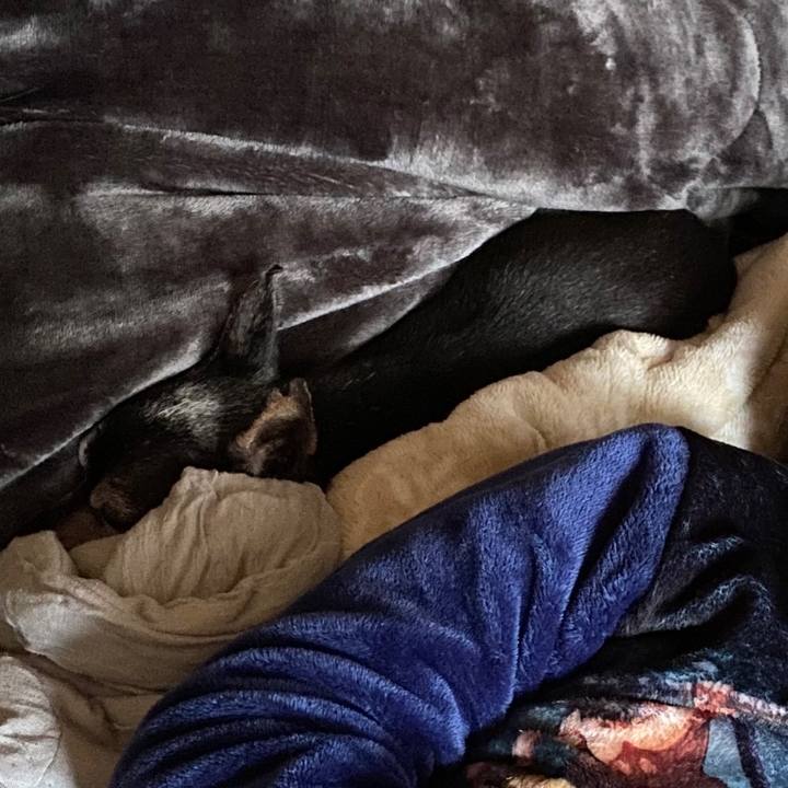 Eda52ed4 ed55 456c a0de 051cbde88827 1604842368374