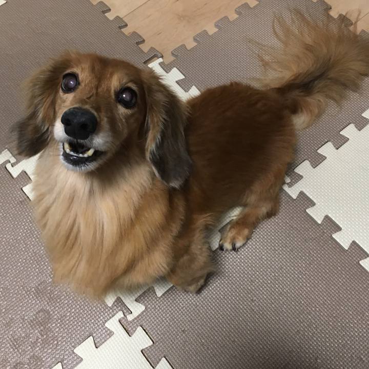 Eda5317b 5d8a 485c 82de e3ace9bd86c3 1599738417925