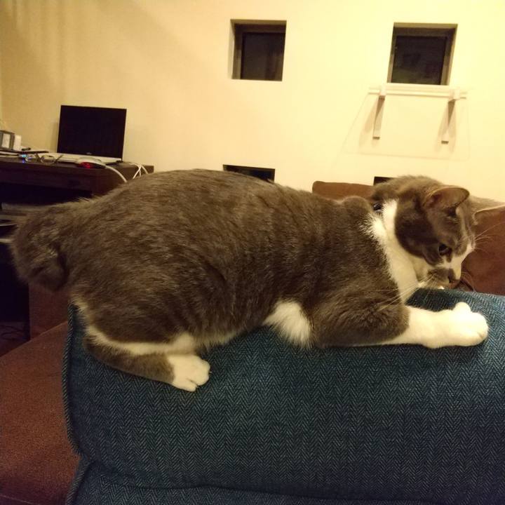 Eda56732 a5e0 445a 9509 ccd7e48c6063 1616152543936