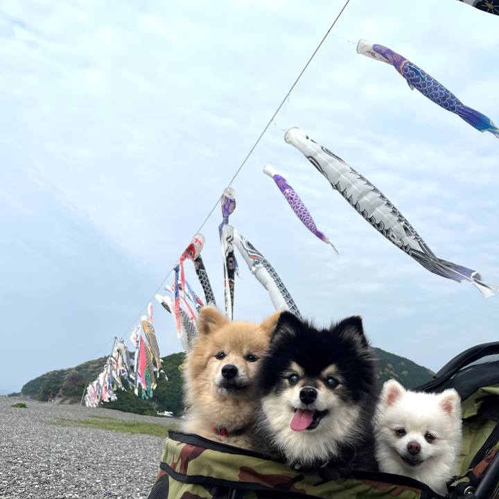 Eda59664 c8cc 4124 8588 af915377b905 1777982146936