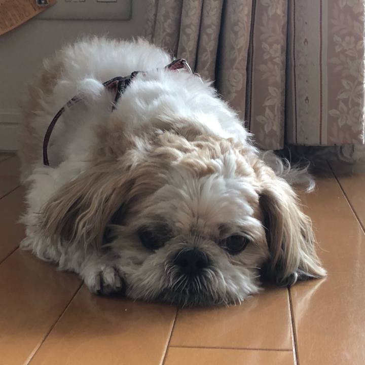 Eda5b719 b4c6 4839 b26e 83557ba55eb9 1591049096663