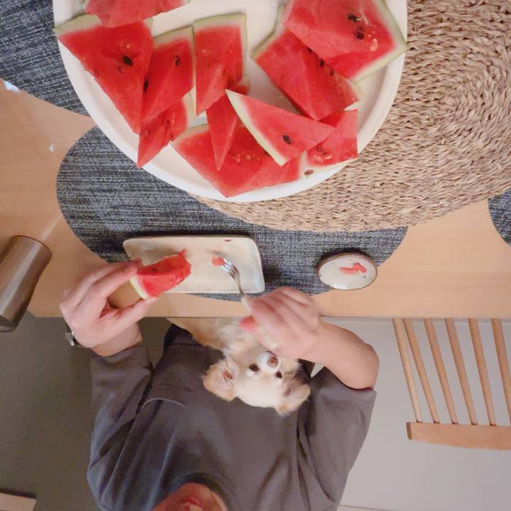 Eda5c008 3348 4fd3 9172 f04d762f3030 1755433331210