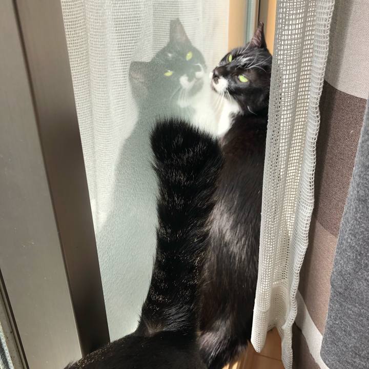 Eda5c5ee a3db 4354 882c 3b8df853f40f 1552021146430