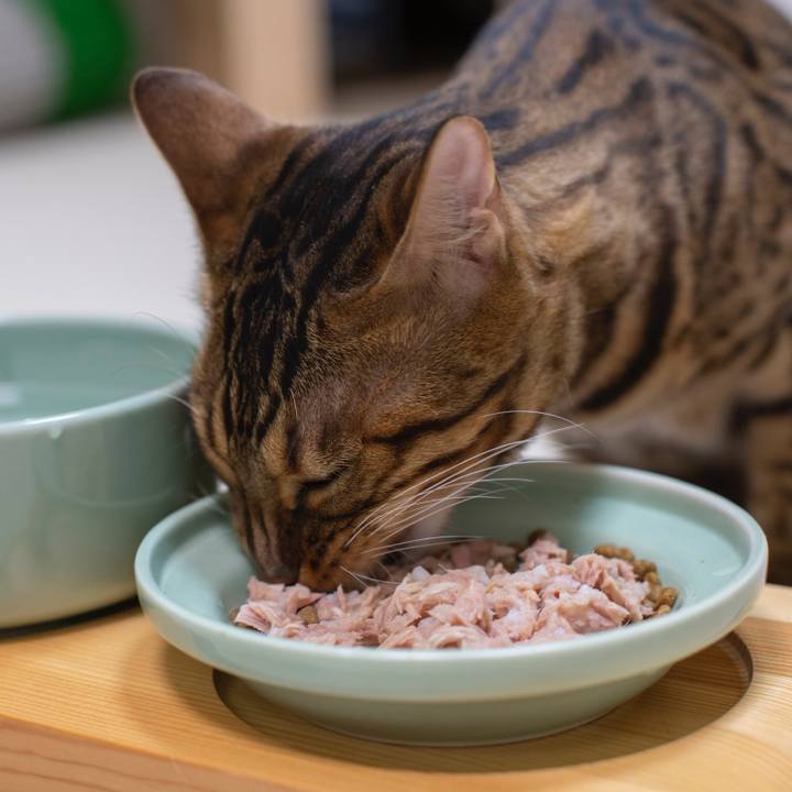 Eda5dd9d ece6 46e5 9620 99829466bb6e 1538928132319