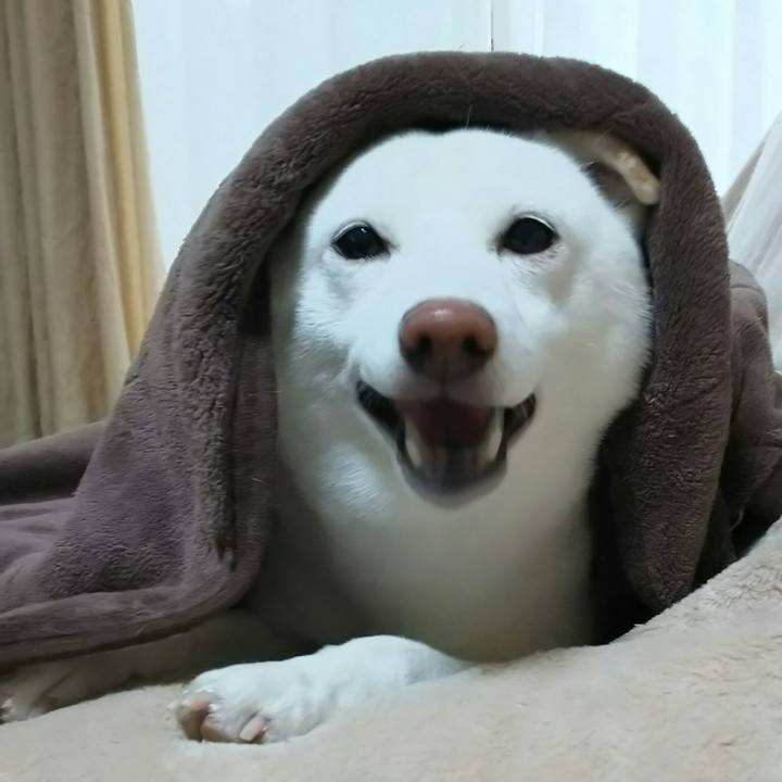 Eda60bff 8dc3 49ea 956f 1b742fd017ad 1571710794069