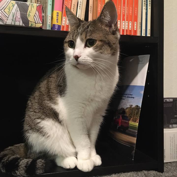 Eda6119b 47df 4c89 89aa 8234afddf2b1 1677091315793