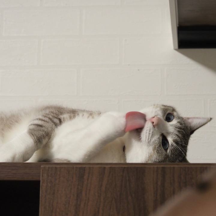 Eda67118 ea35 4e06 a8da 72b2a3034024 1596539093913