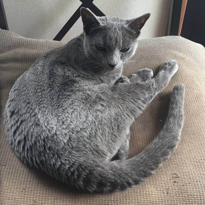 Eda67bbf 871d 4776 a0a8 df750c32fa38 1528076854532