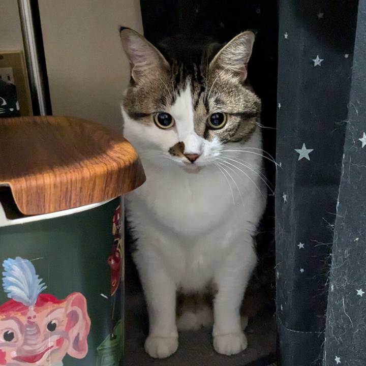 Eda6b20b 6c07 4e93 b0e9 4d16ffb853a1 1729516161631