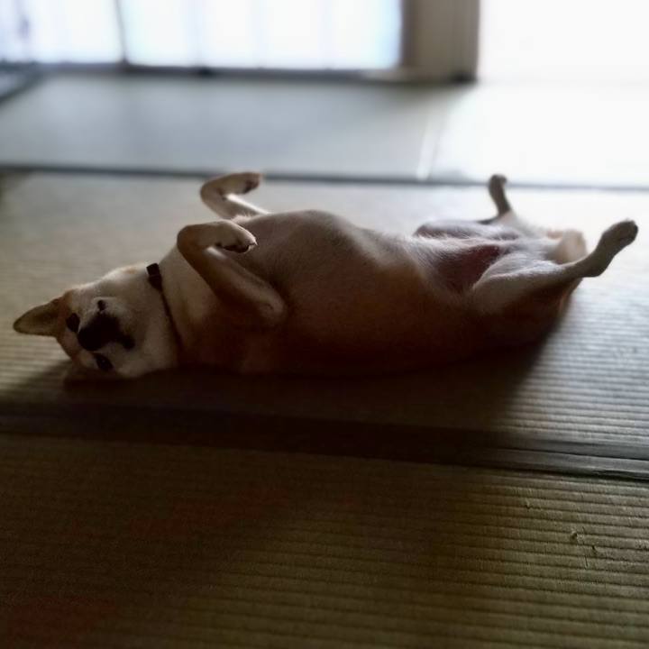 Eda6be69 2151 46ad ae84 d366ccd5ca26 1664836733139