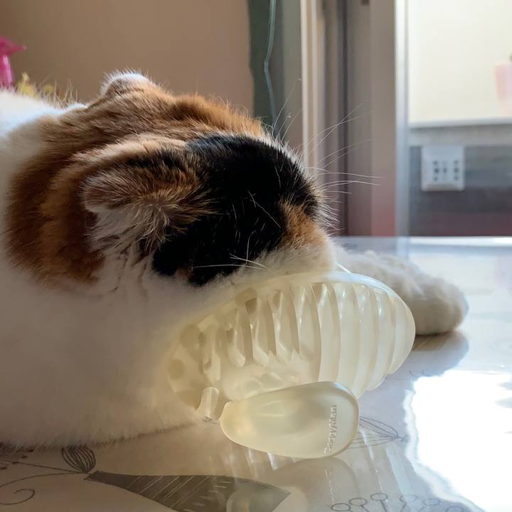 Eda6daea 7ad4 4341 a646 a728b4406808 1568385717921