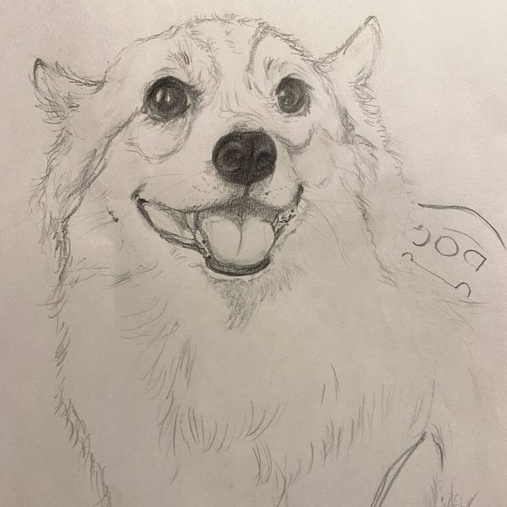 Eda725a2 31c4 4241 ac49 f14410820450 1608376558364