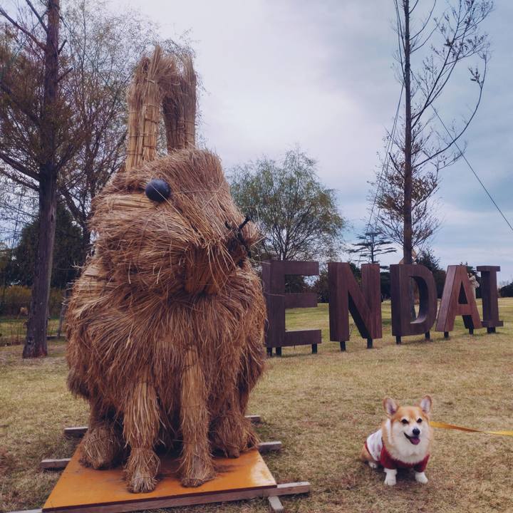 Eda75aeb c667 456c b1f1 3c9be1fe07a0 1700184078720