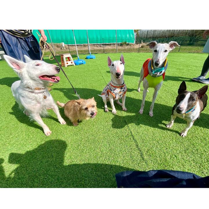 Eda76687 2609 4063 8686 4c3cf4ec55ab 1730614659760