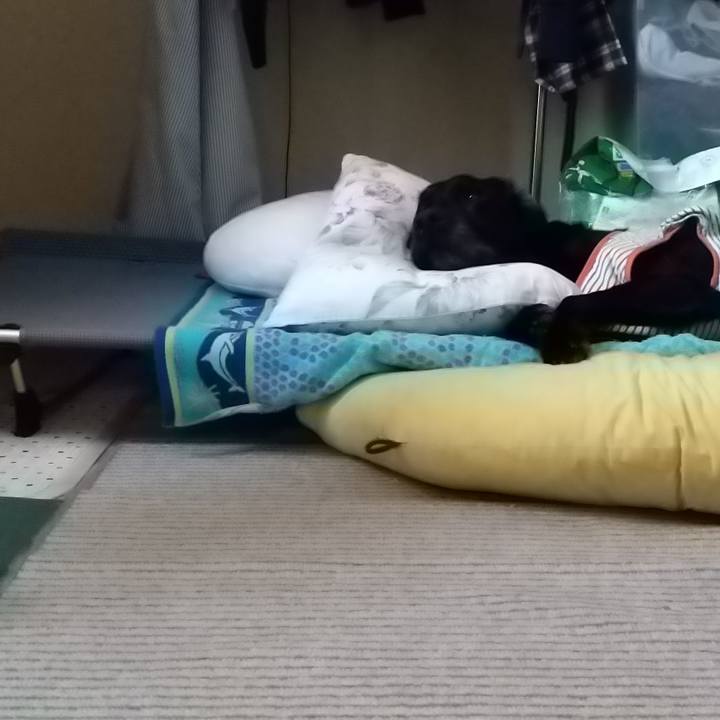 Eda77414 2b37 4130 b417 bdf6cd1e9c11 1718838577606