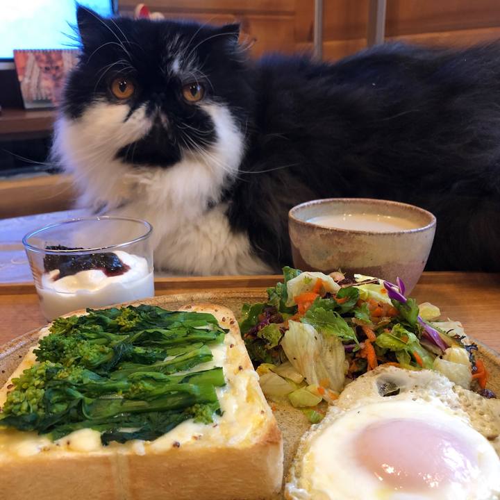 Eda781bf e09b 45f9 ad76 7b0fdd9844b6 1551580891612