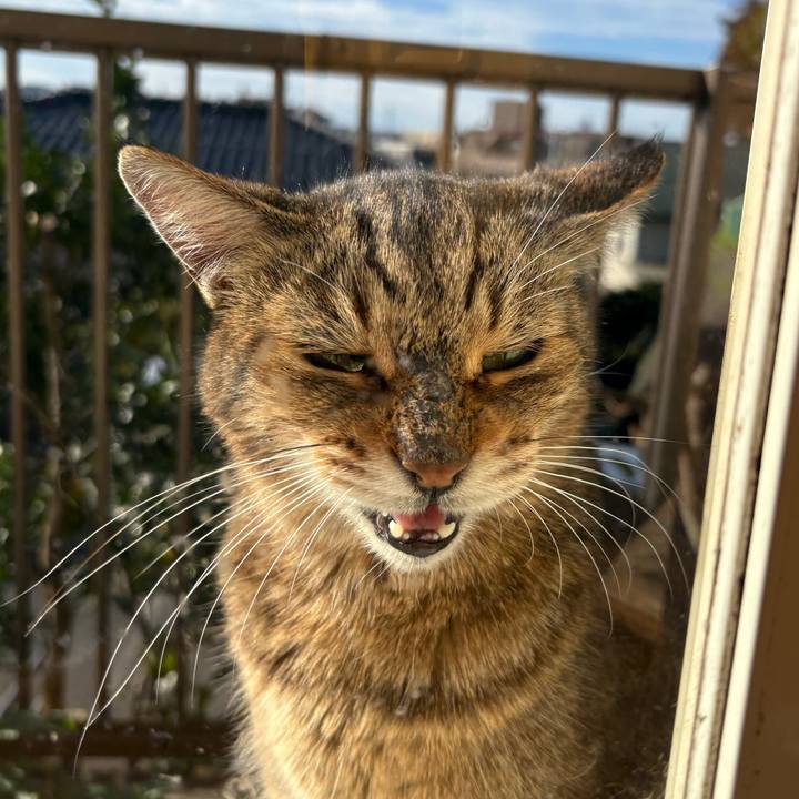 Eda78e99 7d5c 4e2d bc86 0e2697c13a72 1762905059842