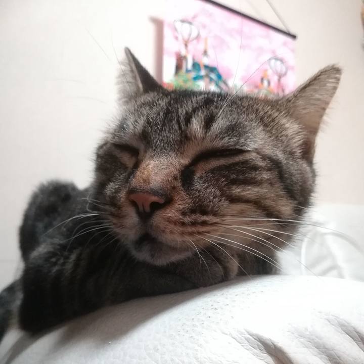 Eda7d2f4 85d7 413a 9bc6 45ece9fe7324 1536150107994