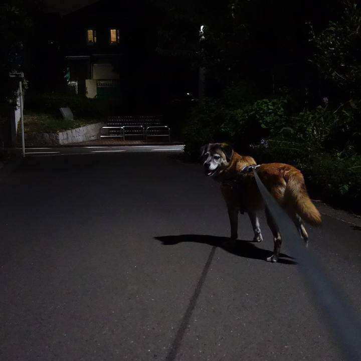 Eda7df0c 67f6 4d21 89f1 6ccc8359ec7d 1568458873111