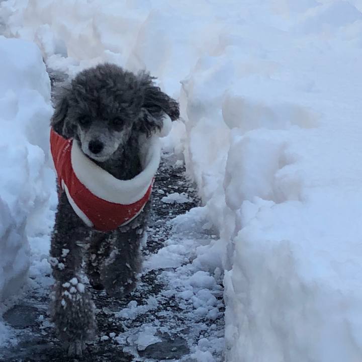 Eda823b5 7679 496e 859d 6f6d97dc9504 1516701454046